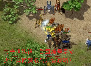 传奇世界道士勋章编号是多少?如何获取与升级攻略? 传奇世界道士勋章编号是多少?如何获取与升级攻略?
