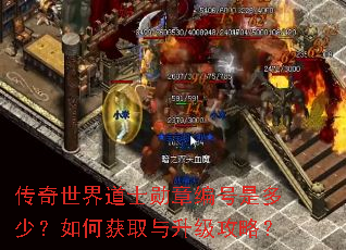 传奇世界道士勋章编号是多少?如何获取与升级攻略? 传奇世界道士勋章编号是多少?如何获取与升级攻略?