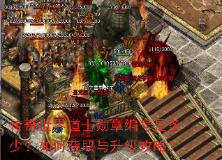 传奇世界道士勋章编号是多少?如何获取与升级攻略? 传奇世界道士勋章编号是多少?如何获取与升级攻略?