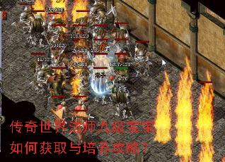 传奇世界法师九级宝宝如何获取与培养攻略? 传奇世界法师九级宝宝如何获取与培养攻略?