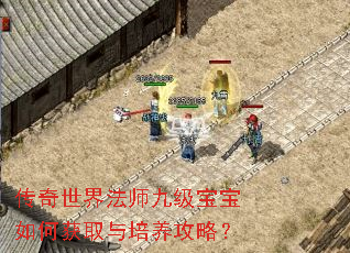 传奇世界法师九级宝宝如何获取与培养攻略? 传奇世界法师九级宝宝如何获取与培养攻略?