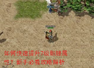 如何快速提升7级骷髅属性?新手必看攻略解析 如何快速提升7级骷髅属性?新手必看攻略解析