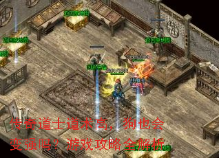 传奇道士道术高,狗也会变强吗?游戏攻略全解析 传奇道士道术高,狗也会变强吗?游戏攻略全解析