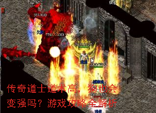 传奇道士道术高,狗也会变强吗?游戏攻略全解析 传奇道士道术高,狗也会变强吗?游戏攻略全解析
