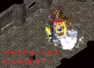 传奇世界道士之灵技能如何搭配使用? 传奇世界道士之灵技能如何搭配使用?