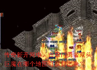 传奇新开网中,白日门勇者双头巨魔在哪个地图可以打出来? 传奇新开网中,白日门勇者双头巨魔在哪个地图可以打出来?
