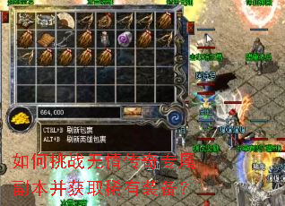 如何挑战无情传奇专属副本并获取稀有装备? 如何挑战无情传奇专属副本并获取稀有装备?
