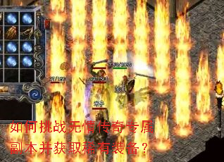 如何挑战无情传奇专属副本并获取稀有装备? 如何挑战无情传奇专属副本并获取稀有装备?