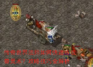 传奇世界法师如何快速练成兽灵术?攻略技巧全解析 传奇世界法师如何快速练成兽灵术?攻略技巧全解析