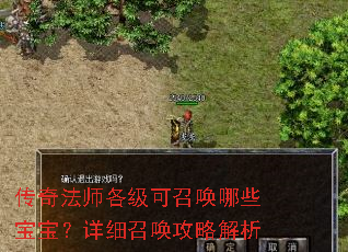 传奇法师各级可召唤哪些宝宝?详细召唤攻略解析 传奇法师各级可召唤哪些宝宝?详细召唤攻略解析