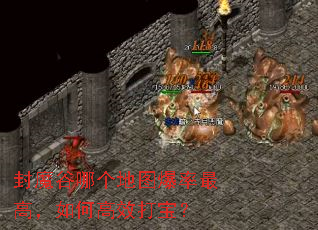 封魔谷哪个地图爆率最高,如何高效打宝? 封魔谷哪个地图爆率最高,如何高效打宝?