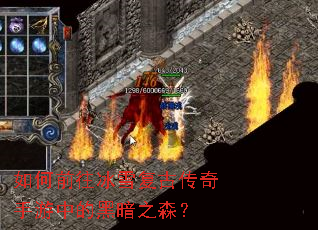 如何前往冰雪复古传奇手游中的黑暗之森? 如何前往冰雪复古传奇手游中的黑暗之森?