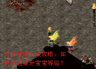 传奇宝宝升级攻略:如何快速提升宝宝等级? 传奇宝宝升级攻略:如何快速提升宝宝等级?