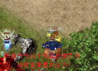 热血传奇战士双武器使用技巧,如何发挥最大战力? 热血传奇战士双武器使用技巧,如何发挥最大战力?