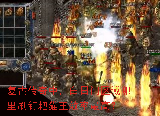 复古传奇中,白日门区域哪里刷钉耙猫王效率最高? 复古传奇中,白日门区域哪里刷钉耙猫王效率最高?