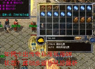 如何卡出传奇私服私服GM状态?详细步骤与风险解析 如何卡出传奇私服私服GM状态?详细步骤与风险解析
