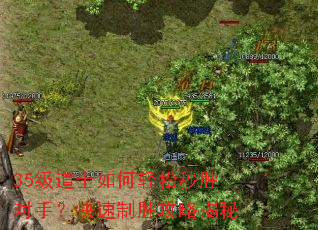 35级道士如何轻松秒胜对手?快速制胜攻略揭秘 35级道士如何轻松秒胜对手?快速制胜攻略揭秘