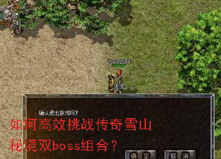 ��θ�Ч��ս����ѩɽ�ؾ�˫boss��ϣ�