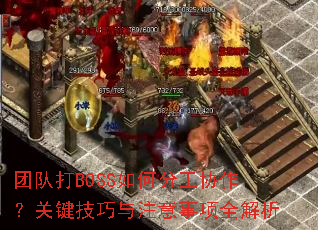 团队打BOSS如何分工协作?关键技巧与注意事项全解析 团队打BOSS如何分工协作?关键技巧与注意事项全解析