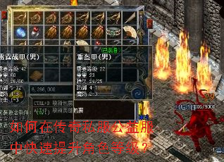 如何在传奇私服公益服中快速提升角色等级? 如何在传奇私服公益服中快速提升角色等级?