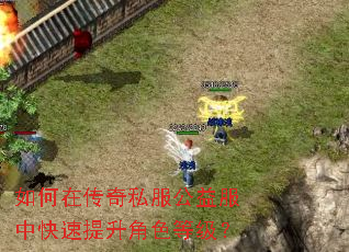如何在传奇私服公益服中快速提升角色等级? 如何在传奇私服公益服中快速提升角色等级?