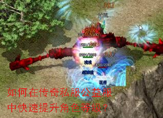 如何在传奇私服公益服中快速提升角色等级? 如何在传奇私服公益服中快速提升角色等级?