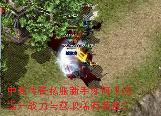 中变传奇私服新手如何快速提升战力与获取稀有装备? 中变传奇私服新手如何快速提升战力与获取稀有装备?