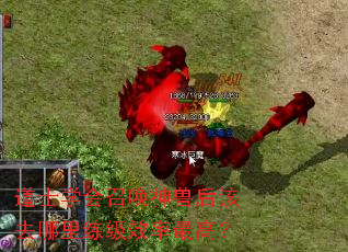 道士学会召唤神兽后该去哪里练级效率最高? 道士学会召唤神兽后该去哪里练级效率最高?