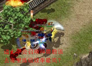 道士学会召唤神兽后该去哪里练级效率最高? 道士学会召唤神兽后该去哪里练级效率最高?