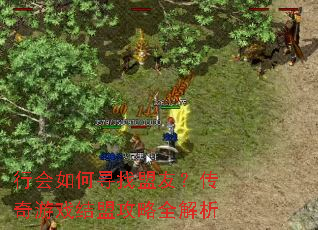 行会如何寻找盟友?传奇游戏结盟攻略全解析 行会如何寻找盟友?传奇游戏结盟攻略全解析