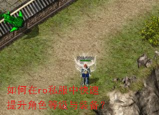 如何在ro私服中快速提升角色等级与装备? 如何在ro私服中快速提升角色等级与装备?