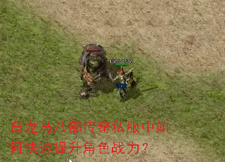 白龙马八部传奇私服中如何快速提升角色战力? 白龙马八部传奇私服中如何快速提升角色战力?