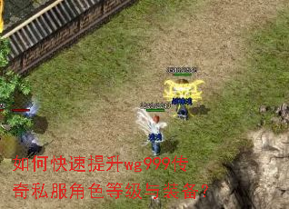 如何快速提升wg999传奇私服角色等级与装备? 如何快速提升wg999传奇私服角色等级与装备?