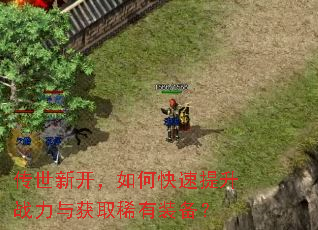 传世新开,如何快速提升战力与获取稀有装备? 传世新开,如何快速提升战力与获取稀有装备?