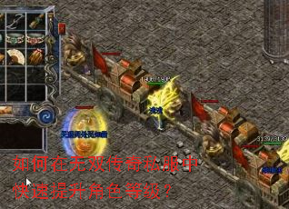 如何在无双传奇私服中快速提升角色等级? 如何在无双传奇私服中快速提升角色等级?