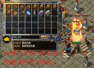如何在无双传奇私服中快速提升角色等级? 如何在无双传奇私服中快速提升角色等级?