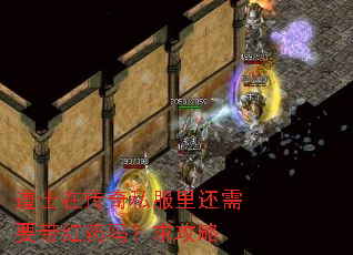 道士在传奇私服里还需要带红药吗?求攻略 道士在传奇私服里还需要带红药吗?求攻略