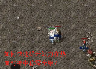 如何快速提升战力在热血封神中称霸全服? 如何快速提升战力在热血封神中称霸全服?