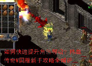 如何快速提升角色等级?热血传奇M国服新手攻略全解析 如何快速提升角色等级?热血传奇M国服新手攻略全解析