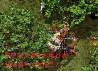 传奇玩家前往封魔谷需准备哪些关键道具? 传奇玩家前往封魔谷需准备哪些关键道具?