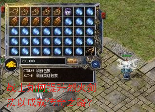战士如何提升烈火剑法以成就传奇之路? 战士如何提升烈火剑法以成就传奇之路?