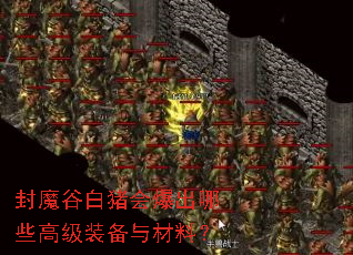 封魔谷白猪会爆出哪些高级装备与材料? 封魔谷白猪会爆出哪些高级装备与材料?