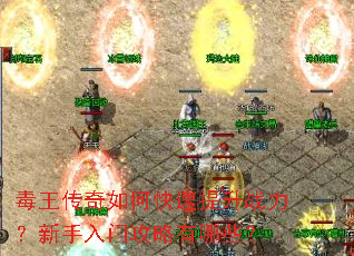 毒王传奇如何快速提升战力?新手入门攻略有哪些? 毒王传奇如何快速提升战力?新手入门攻略有哪些?