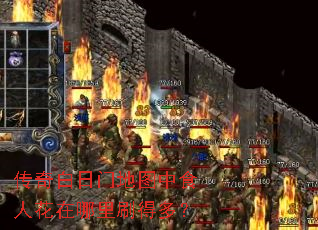 传奇白日门地图中食人花在哪里刷得多? 传奇白日门地图中食人花在哪里刷得多?