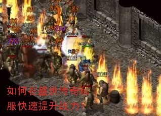 如何在盛世传奇私服快速提升战力? 如何在盛世传奇私服快速提升战力?