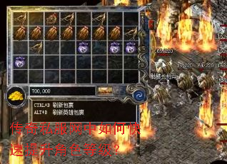 传奇私服网中如何快速提升角色等级? 传奇私服网中如何快速提升角色等级?
