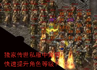 独家传世私服中如何快速提升角色等级? 独家传世私服中如何快速提升角色等级?