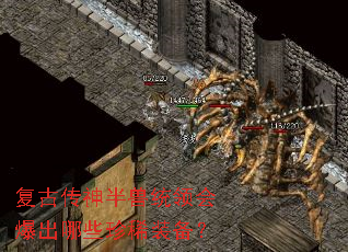 复古传神半兽统领会爆出哪些珍稀装备? 复古传神半兽统领会爆出哪些珍稀装备?
