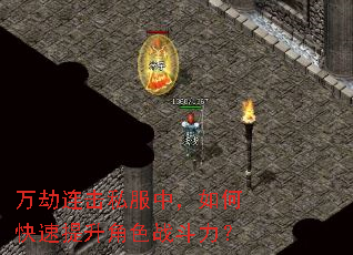 万劫连击私服中,如何快速提升角色战斗力? 万劫连击私服中,如何快速提升角色战斗力?
