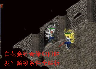 白花金针奇缘如何触发?解锁条件全解析 白花金针奇缘如何触发?解锁条件全解析